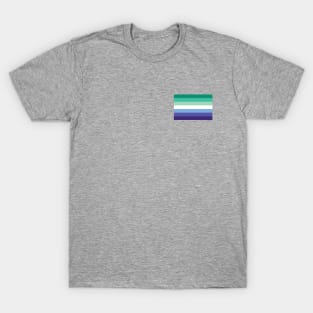 Gay Men’s Pride Flag T-Shirt